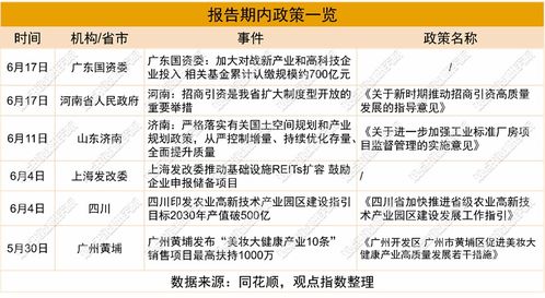 2025年6月产业园区暨基础设施投资发展报告 项目投资与管理分析