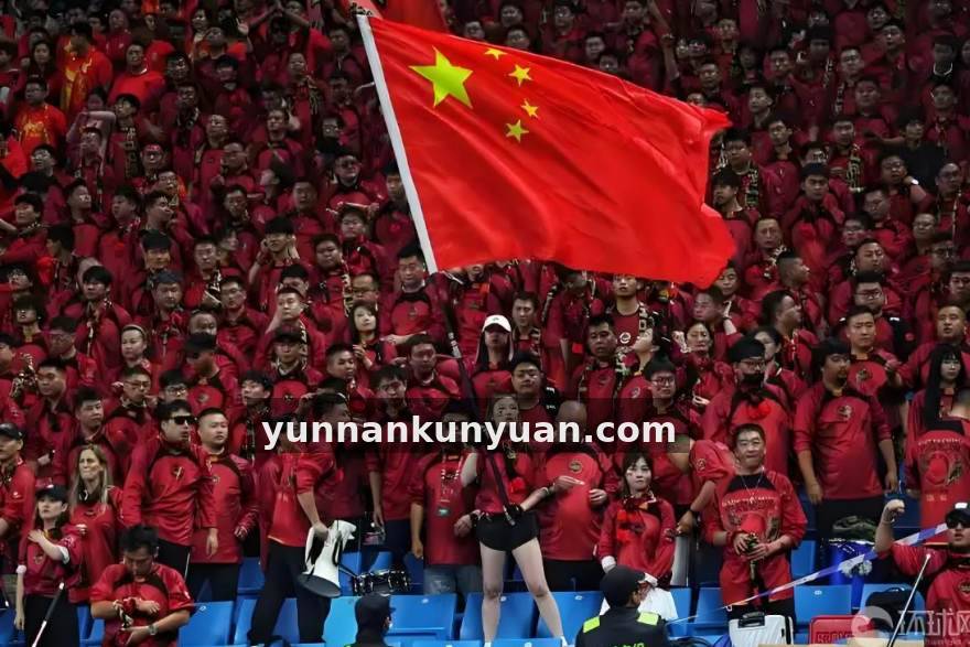 版本更迭下的战术风向标：盘点当前赛季五套高胜率体系